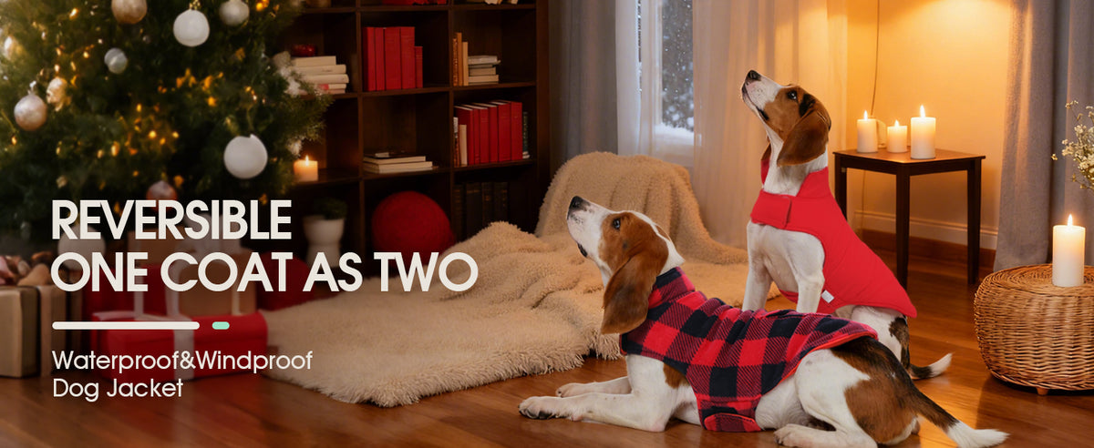 Sisu Couture's Cozy British Plaid Dog Winter Coat - image 10