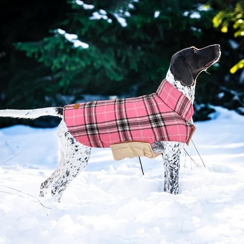 Sisu Couture's Stylish Reversible Dog Winter Coat - image 8