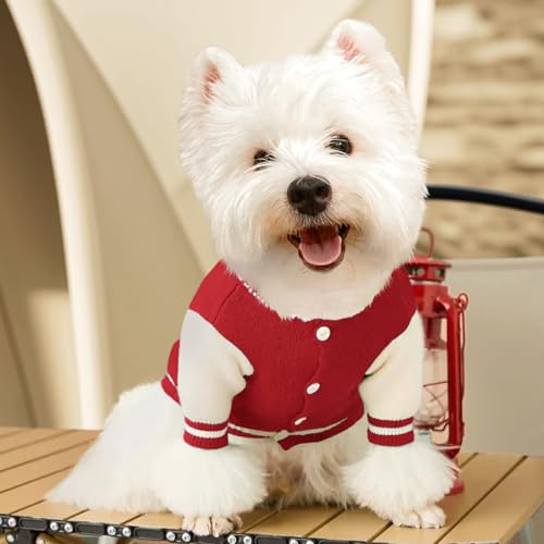 Sisu Couture's Adorable Red Knitted Puppy Sweater - image 8