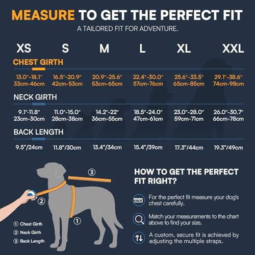 Sisu Couture's Adorable Shark Fin Dog Life Jacket - image 10