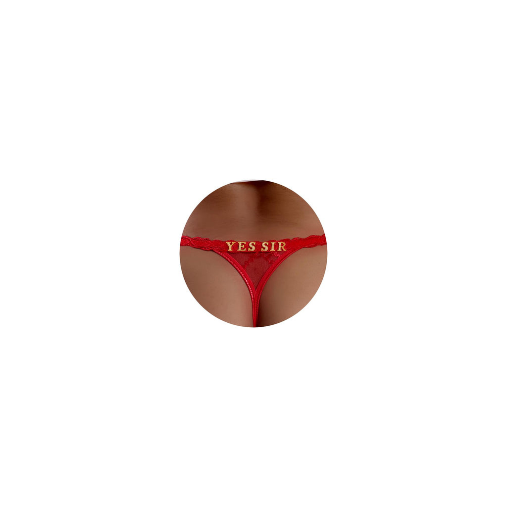 Sisu Couture's Sexy Underwear Lace Panties Sexy Thong With Funny Rhinestone - image 23