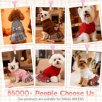 Sisu Couture's Elegant Bowtie Turtleneck Sweater Dress for Small Dogs - image 4