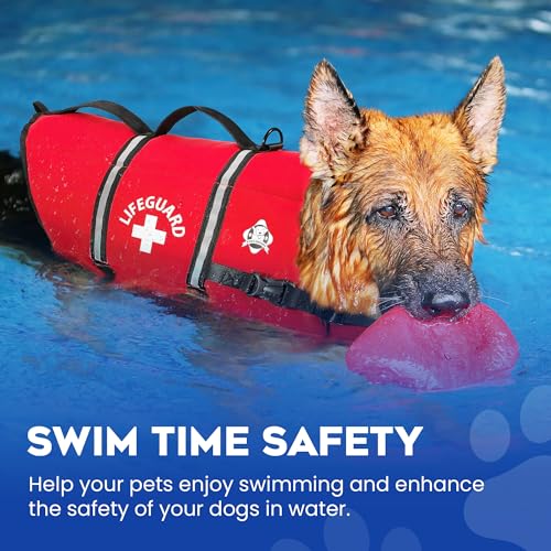 Sisu Couture's Luxe Adjustable Dog Life Vest for Waterside Adventures - image 13