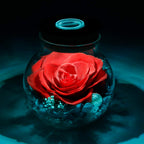 Sisu Couture's Preserved Real Roses With Colorful Mood Light Wishing Bottle - image 17