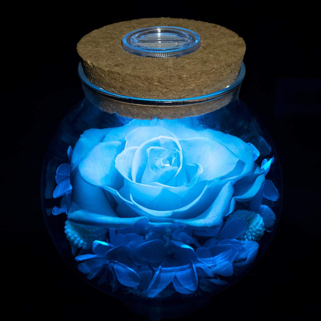 Sisu Couture's Preserved Real Roses With Colorful Mood Light Wishing Bottle - image 22