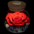 Sisu Couture's Preserved Real Roses With Colorful Mood Light Wishing Bottle - image 1