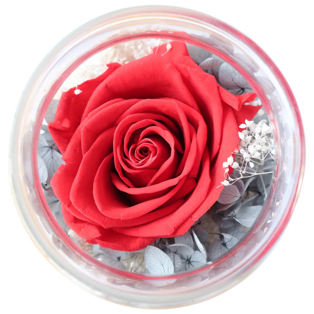 Sisu Couture's Preserved Real Roses With Colorful Mood Light Wishing Bottle - image 20