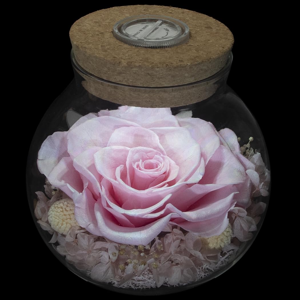 Sisu Couture's Preserved Real Roses With Colorful Mood Light Wishing Bottle - image 24