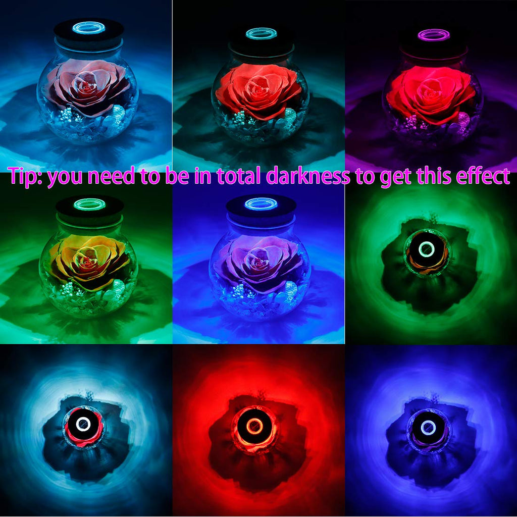 Sisu Couture's Preserved Real Roses With Colorful Mood Light Wishing Bottle - image 16